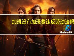 加班没有加班费违反劳动法吗