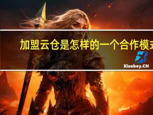 加盟云仓是怎样的一个合作模式