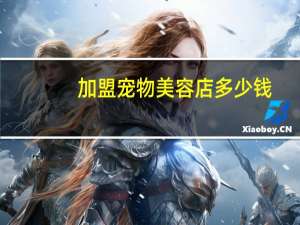 加盟宠物美容店多少钱