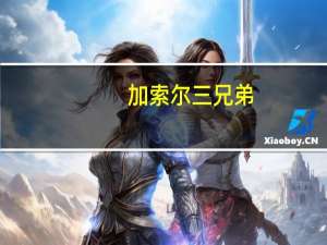 加索尔三兄弟（加索尔兄弟）