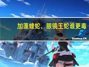 加蓬蝰蛇、眼镜王蛇谁更毒？国外博主居然用自己的血验证