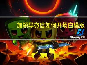 加领导微信如何开场白模版（加了领导微信如何开场）