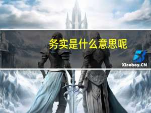 务实是什么意思呢