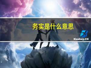 务实是什么意思？