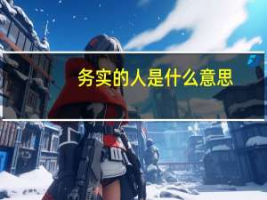 务实的人是什么意思
