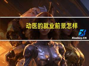 动医的就业前景怎样