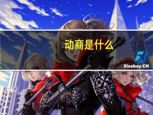 动商是什么