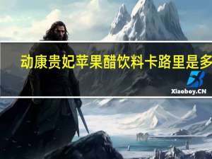 动康贵妃 苹果醋饮料卡路里是多少