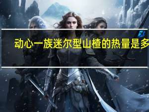动心一族 迷尔型山楂的热量是多少