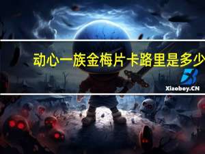 动心一族 金梅片卡路里是多少