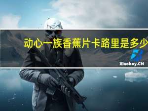 动心一族 香蕉片卡路里是多少