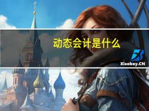 动态会计是什么