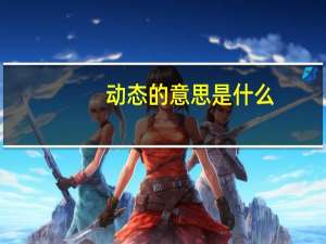 动态的意思是什么
