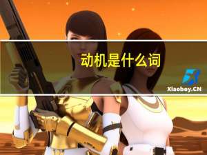 动机是什么词（动机是什么意思）