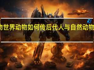 动物世界动物如何传后代 人与自然动物世界配种
