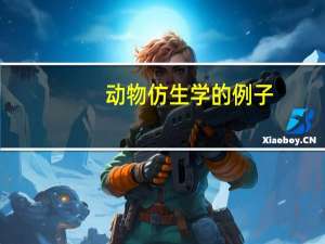 动物仿生学的例子