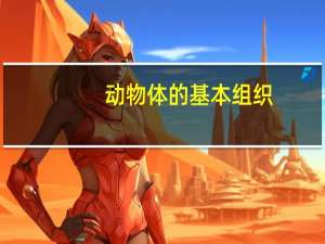 动物体的基本组织