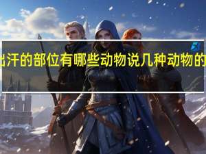 动物出汗的部位有哪些动物 说几种动物的流汗的地方