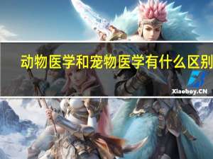 动物医学和宠物医学有什么区别吗