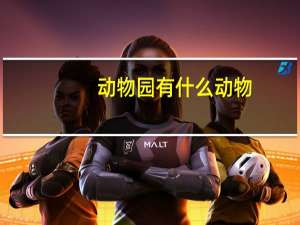 动物园有什么动物