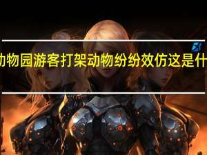 动物园游客打架动物纷纷效仿 这是什么场面