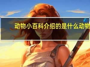 动物小百科介绍的是什么动物