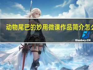动物尾巴的妙用微课作品简介怎么写