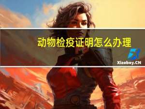 动物检疫证明怎么办理