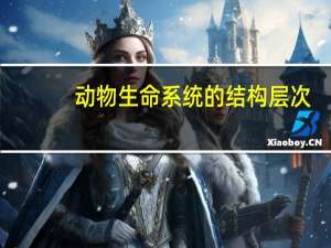 动物生命系统的结构层次
