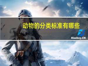 动物的分类标准有哪些