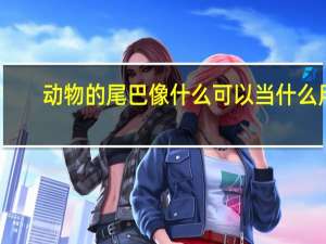 动物的尾巴像什么可以当什么用