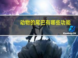 动物的尾巴有哪些功能