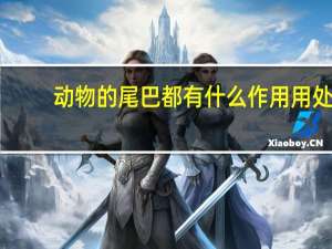动物的尾巴都有什么作用用处（动物的尾巴都有什么作用）