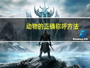 动物的正确称呼方法