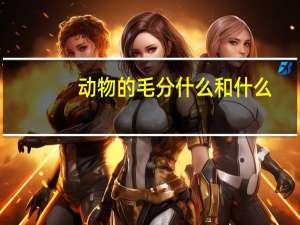 动物的毛分什么和什么