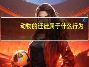 动物的迁徙属于什么行为