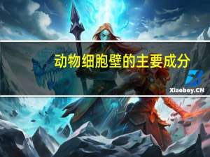 动物细胞壁的主要成分
