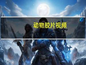 动物胶片视频（动物胶）