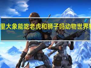 动物里大象能吃老虎和狮子吗 动物世界狮子与老虎