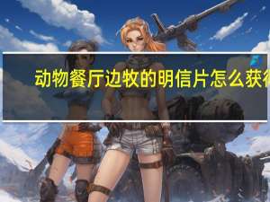 动物餐厅边牧的明信片怎么获得