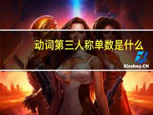 动词第三人称单数是什么