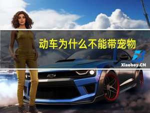 动车为什么不能带宠物