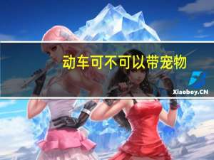 动车可不可以带宠物