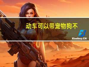 动车可以带宠物狗不