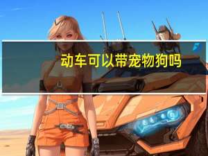动车可以带宠物狗吗