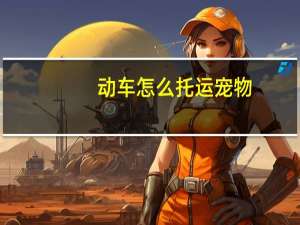 动车怎么托运宠物