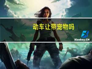 动车让带宠物吗