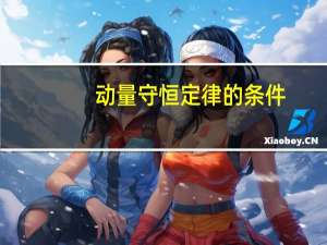 动量守恒定律的条件