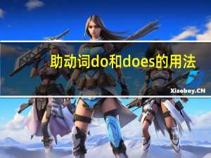 助动词do和does的用法