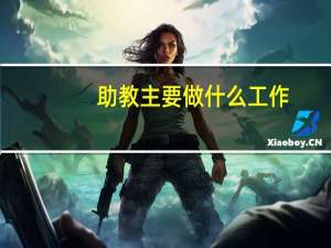 助教主要做什么工作